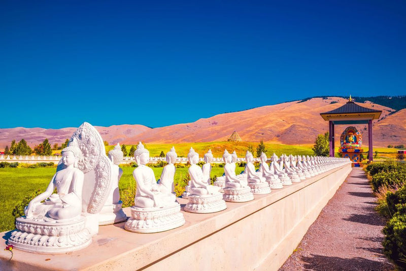 Shambhala