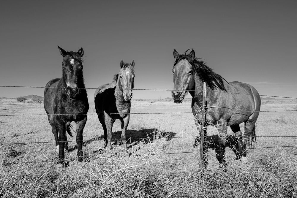 Straight Outta Marfa